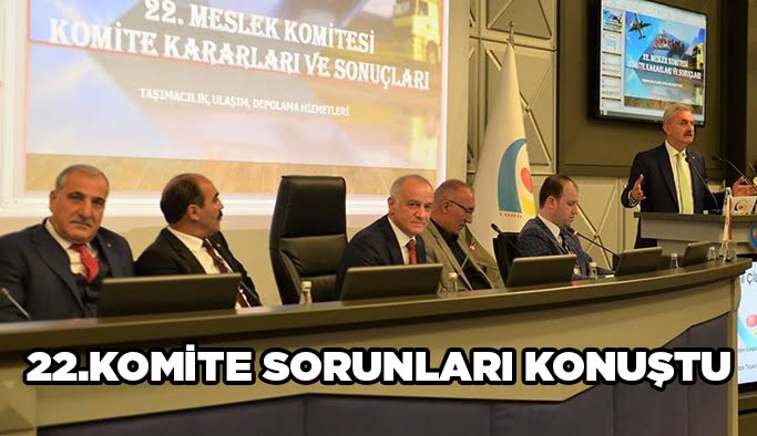 22.Komite sorunları konuştu