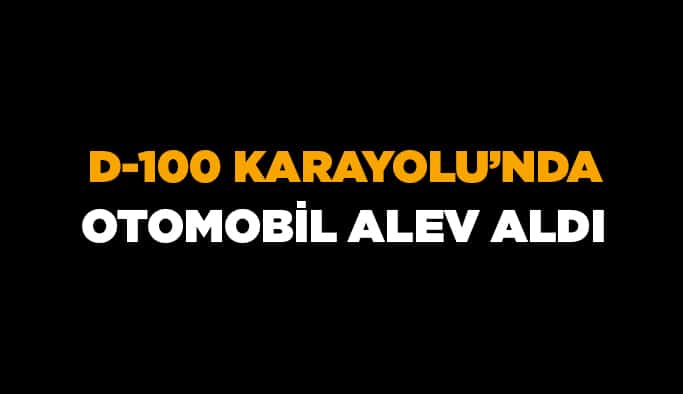 D-100 karayolu'nda otomobil alev aldı