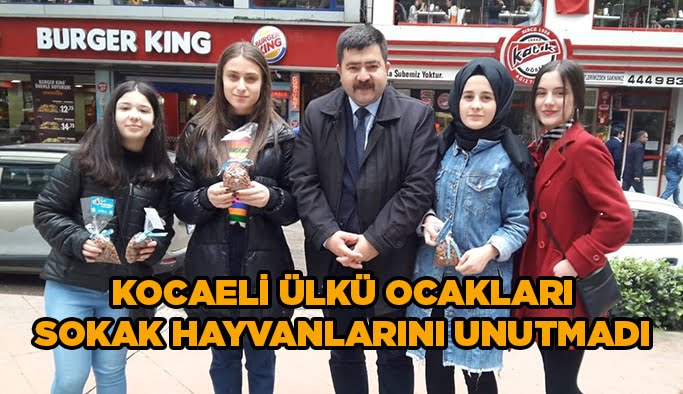 Kocaeli Ülkü Ocakları sokak hayvanlarını unutmadı
