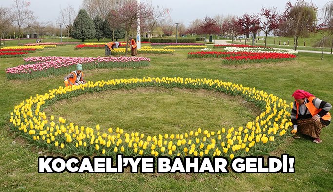 Kocaeli’ye bahar geldi!