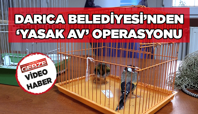 Darıca Belediyesi’nden ‘Yasak Av’ operasyonu