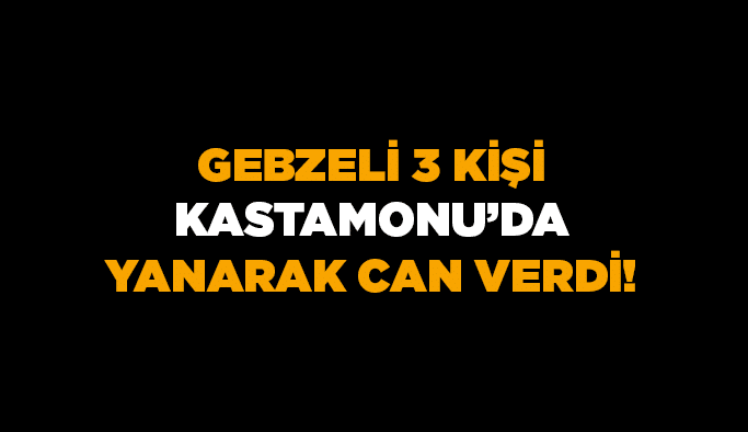 Gebzeli 3 kişi Kastamonu'da yanarak can verdi!