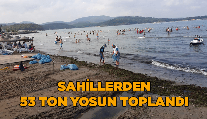 Sahillerden 53 ton yosun toplandı