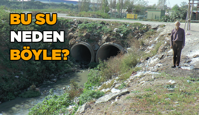 Bu su neden böyle?