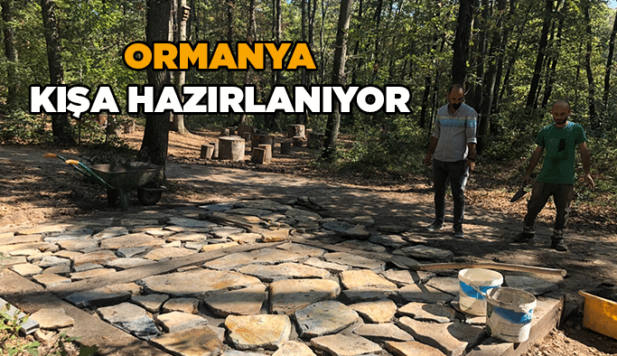 Ormanya kışa hazırlanıyor