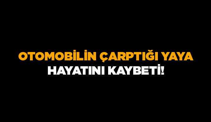 Otomobilin çarptığı yaya hayatını kaybetti!