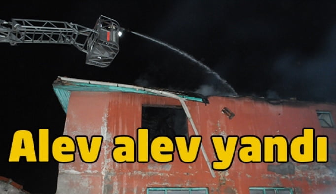 Darıca'da bina alev alev yandı