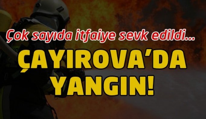 Çayırova'da yangın!