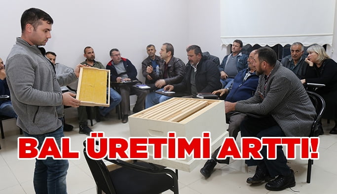 Kocaeli’nde bal üretimi arttı