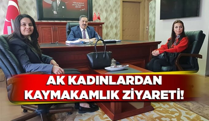 AK Kadınlardan Kaymakamlık ziyareti!