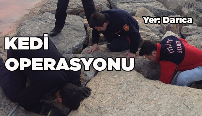 İtfaiye’den kedi operasyonu!