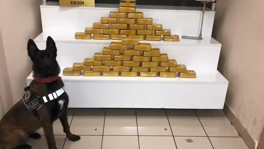 Minibüsün kapısına zulananan 26 kilo eroini narkotik köpeği ‘Talisca’ buldu