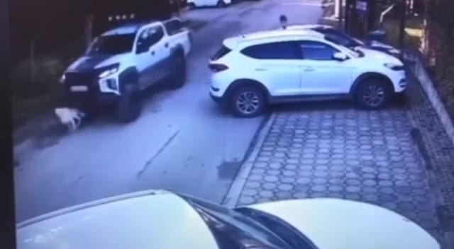 Vicdanları Yaralayan Görüntü