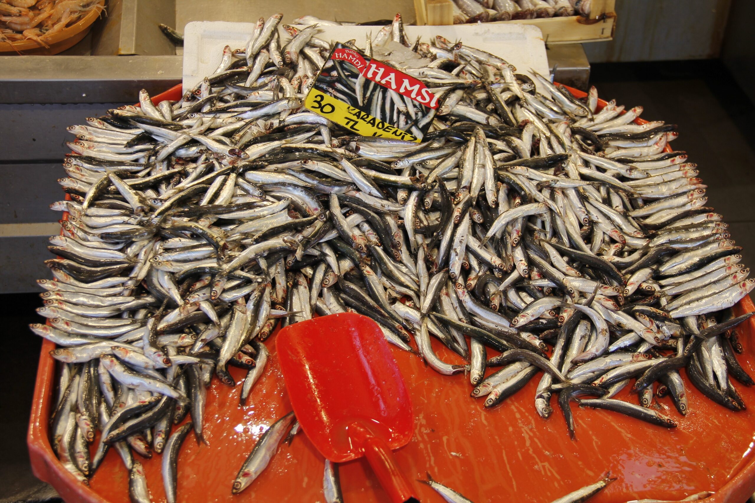 Avlanma Yasağı Öncesinde, Tezgahta Balık Fiyatları