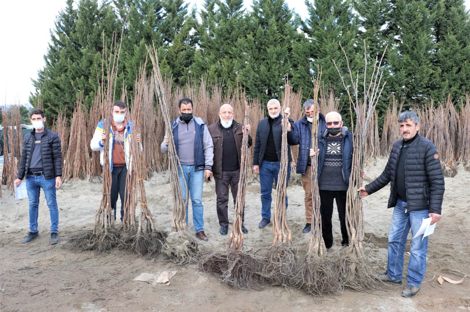 Büyükşehir’in Yüzde 50 Hibeli Fidan Dağıtımı Başladı