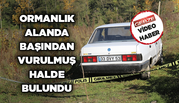 Ormanlık alanda başından vurulmuş halde bulundu