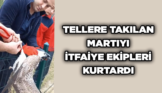 Tellere takılan martıyı itfaiye ekipleri kurtardı