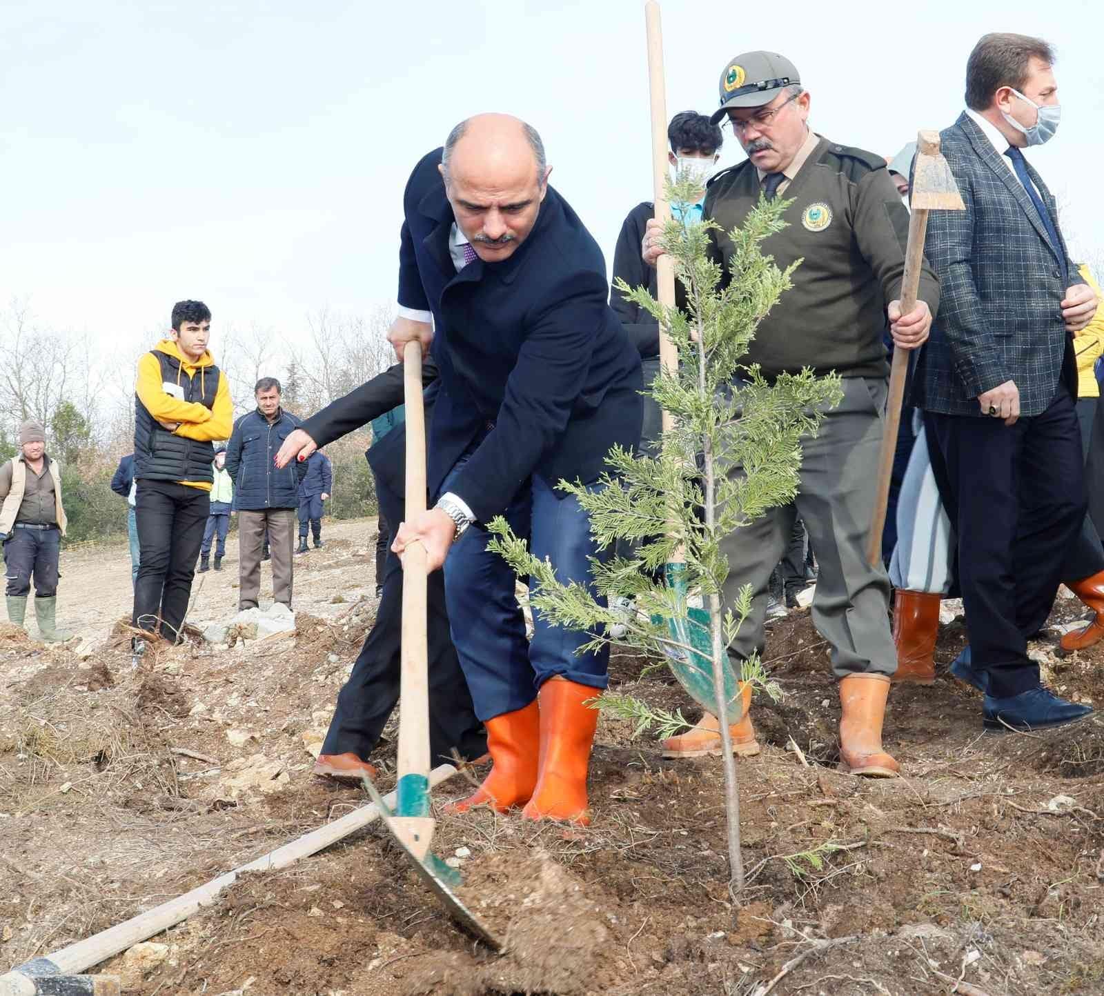 Fidanlar Alaaddin öğretmen için dikildi