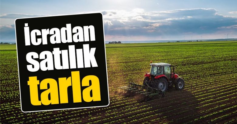 Kocaeli Kandıra’da 4325 m² Tarla İcradan Satılıktır