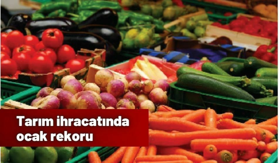 Tarım İhracatında Ocak Rekoru