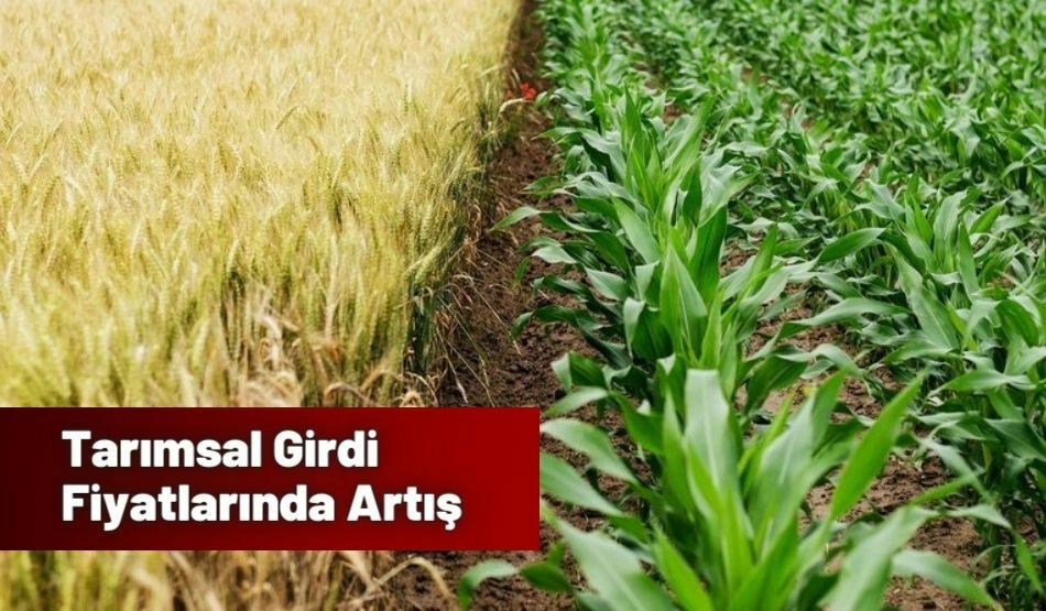 Tarımsal Girdi Fiyatlarında Artış