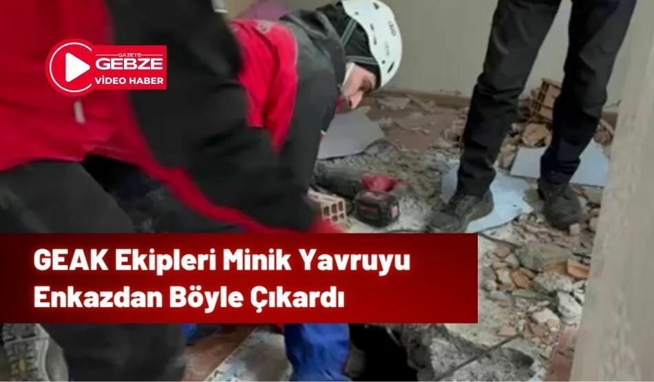 GEAK Ekipleri Minik Yavruyu Enkazdan Böyle Çıkardı
