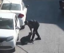 Beyoğlu’nda köpeğe eziyet eden şahıs gözaltına alındı