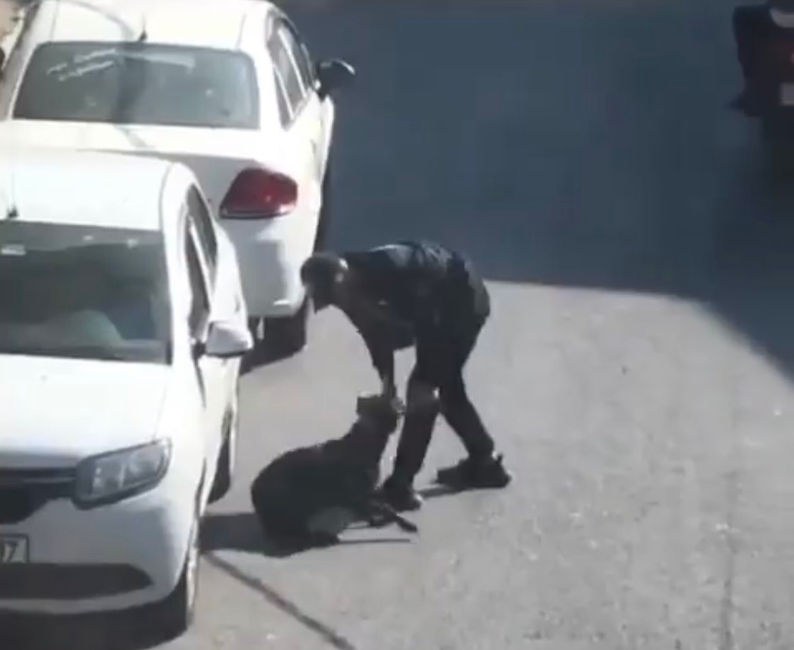 Beyoğlu’nda köpeğe eziyet eden şahıs gözaltına alındı