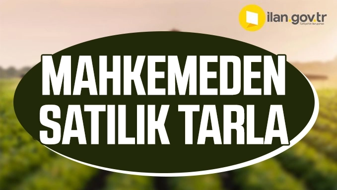 Kocaeli Karamürsel’de 3280 m² tarla mahkemeden satılıktır