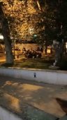 Taksim’de dilencilerin para kavgası kamerada