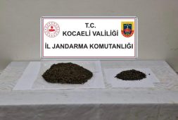 Kartepe’de jandarmadan uyuşturucu operasyonu