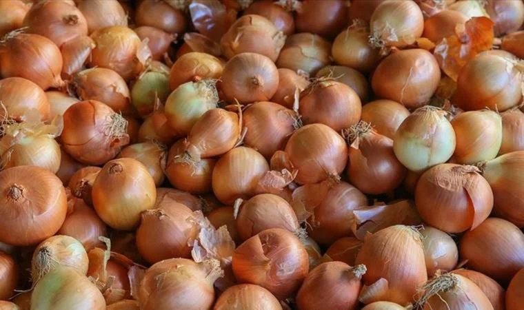 Üretici İle Market Arasındaki Fiyat Farkı Ne Kadar?
