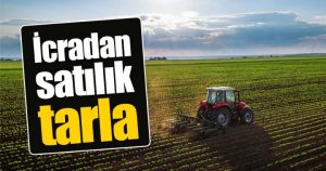 Kocaeli Kartepe'de 10265 m² tarla (hisseli) icradan satılıktır