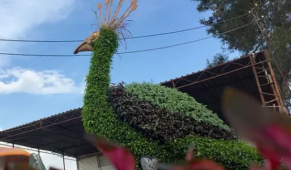 Sanatsal bitki heykel alımı ihale edilecektir