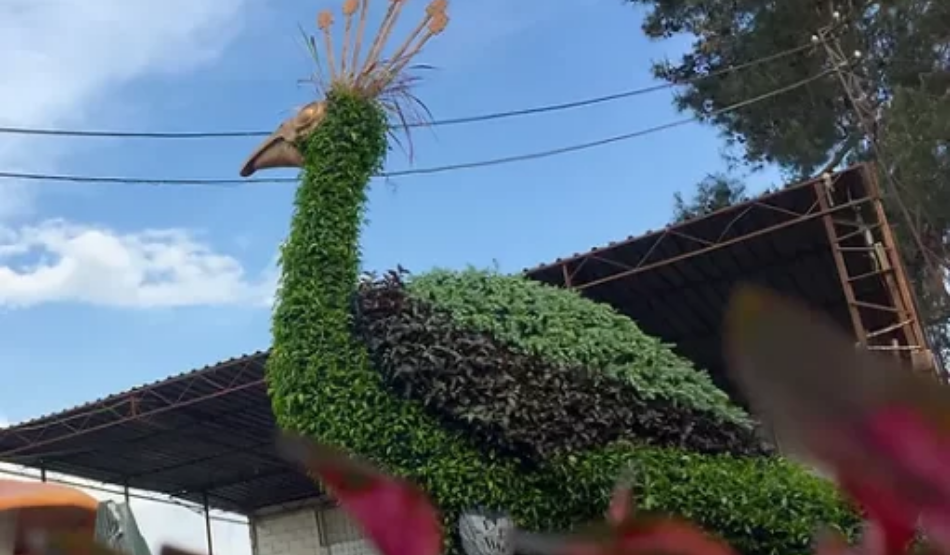 Sanatsal bitki heykel alımı ihale edilecektir