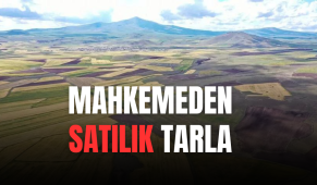 Kocaeli Başiskele'de 21923 m² tarla mahkemeden satılıktır