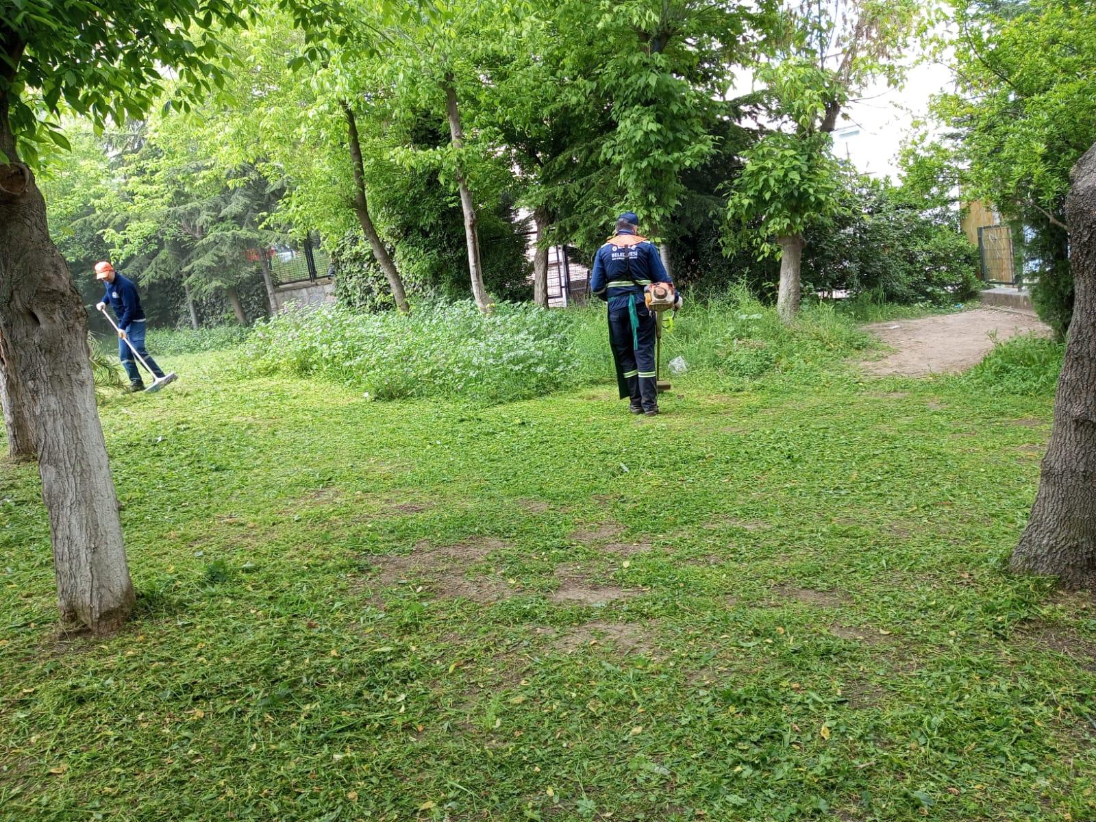 Gebze'de Oy Kullanılacak Okul Bahçelerine Bakım Yapılıyor