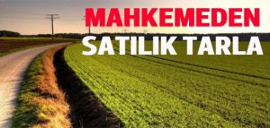 Kocaeli İzmit'te 2260 m² tarla mahkemeden satılıktır