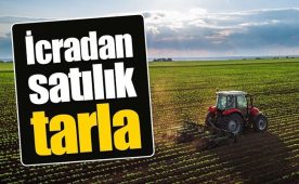 Kocaeli Gölcük'te 10678 m² tarla icradan satılıktır