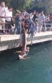 Üsküdar’da denizde can pazarı: Piknik örtüsü ile kurtarmaya çalıştılar