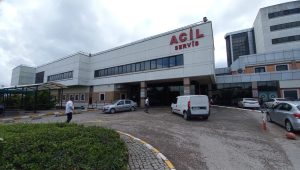 Kocaeli’de köpek saldırısına uğrayan üniversite öğrencisi yüksekten düşüp yaralandı