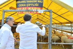 Bahçelievler Belediyesi Kurban Bayramı hazırlıklarını tamamladı