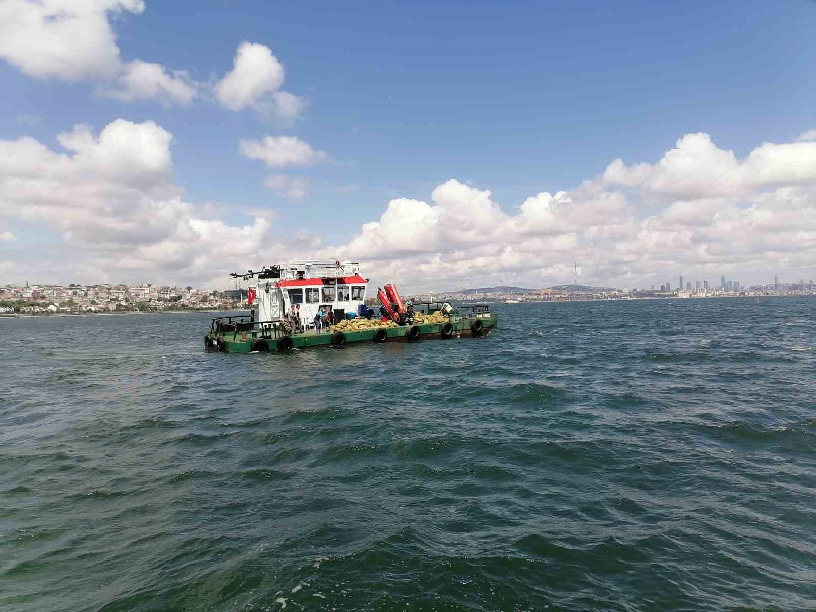 70 ton kaçak midye ele geçirildi, 1 milyon lira para cezası kesildi