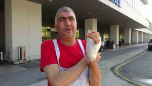 Kocaeli’de bayramın ilk günü 281 kişi kurbanlık keserken yaralandı
