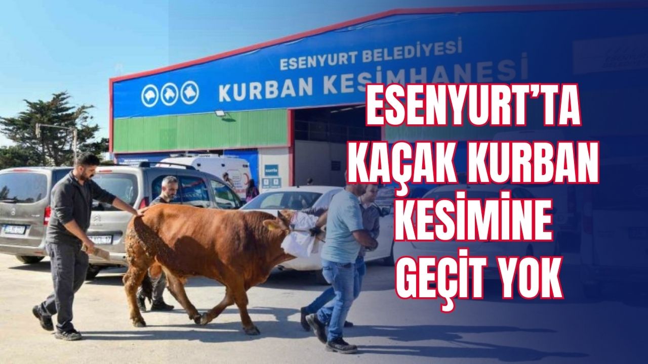 Esenyurt’ta kaçak kurban kesimine geçit yok