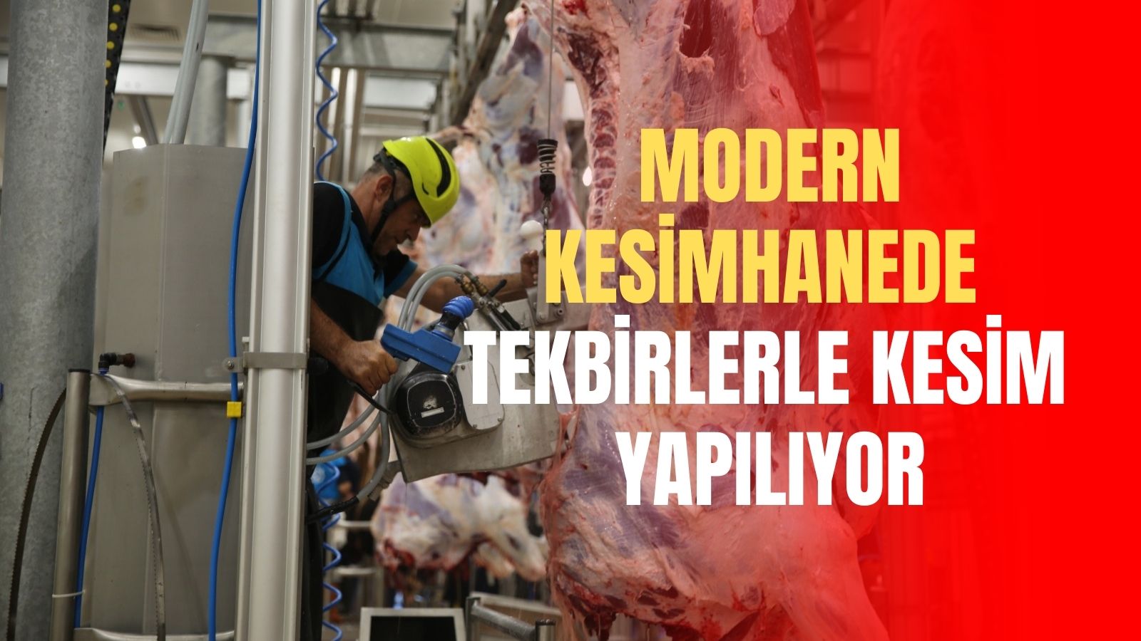 Modern kesimhanede tekbirlerle kesim yapılıyor