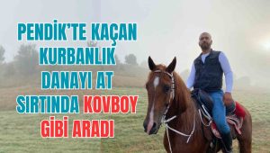 Pendik’te kaçan kurbanlık danayı at sırtında kovboy gibi aradı