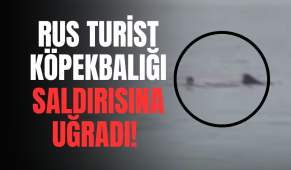 Köpekbalığı saldırısına uğrayan Rus turist öldü!