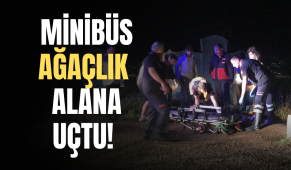 Kocaeli’de kontrolden çıkan minibüs ağaçlık alana uçtu