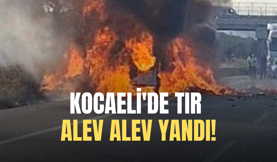 Tır alev topuna dönerek kül oldu